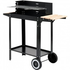 LUND Gratar gradina cu grill pe carbune 48.5x26cm..